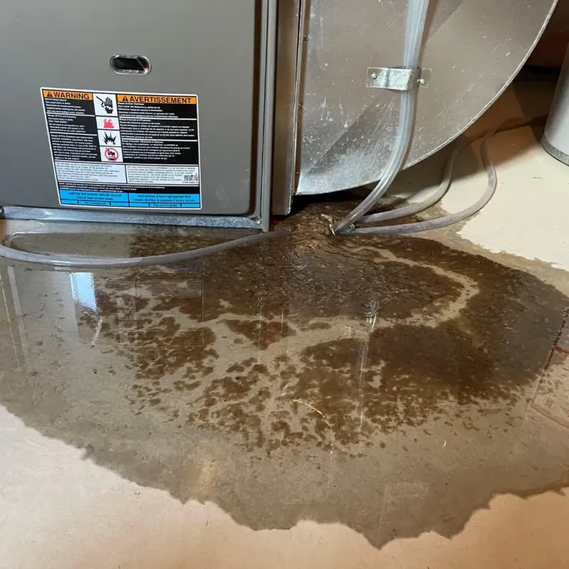 Appliance Leak Cleanup in Olive Hill, KY