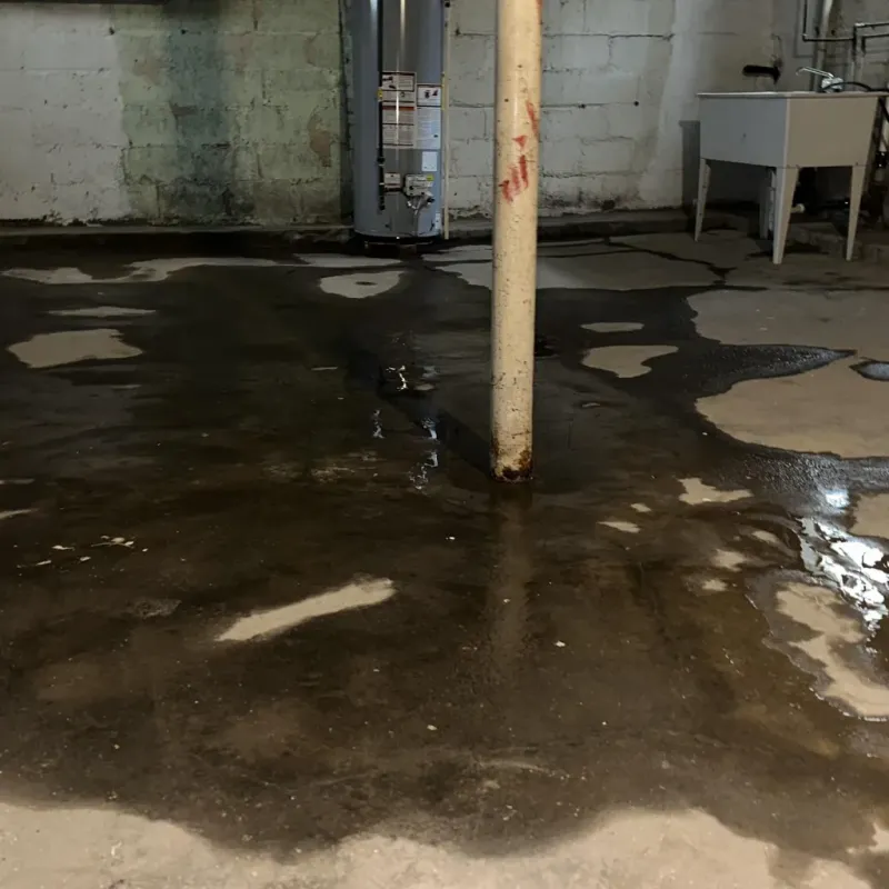 Emergency Water Extraction And Removal in Olive Hill, KY